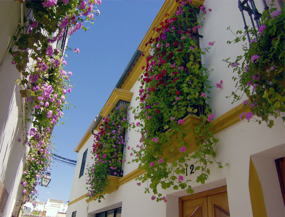 Tafures, 12.0